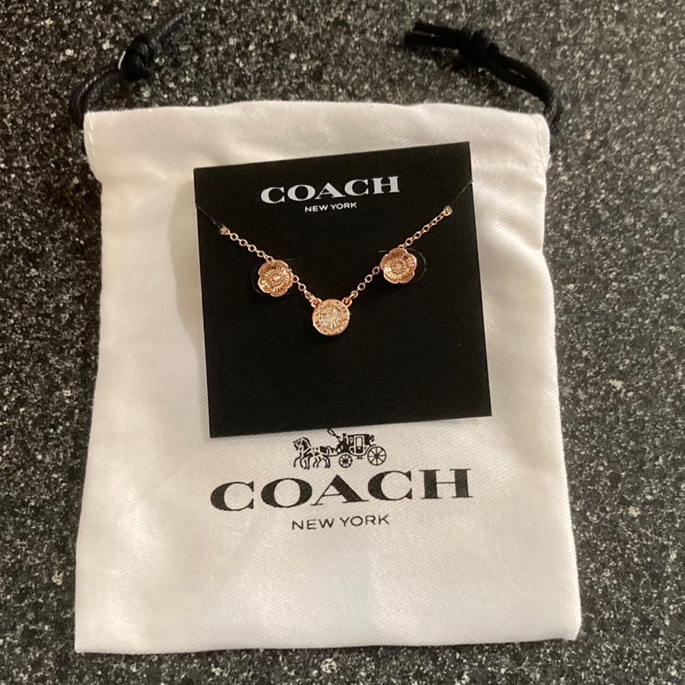 Coach Neckalce and Earrings set